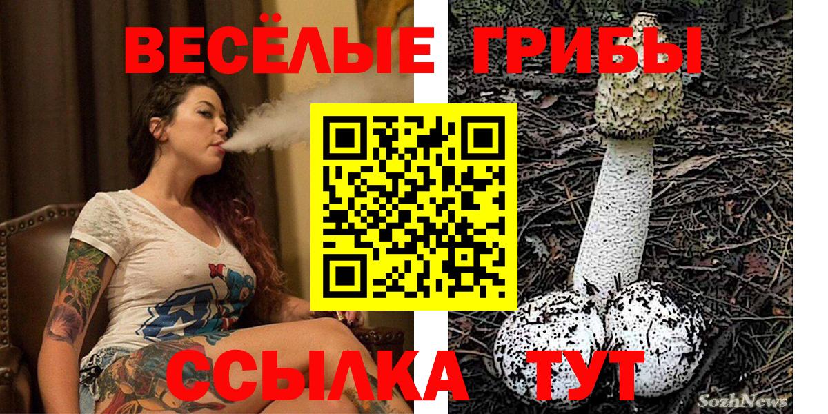 Псилоцибиновые грибы Psilocybine cubensis Гуково